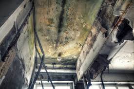 Best Residential Mold Inspection & Testing  in Vienna Bend, LA